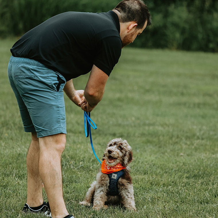 Puppy Training