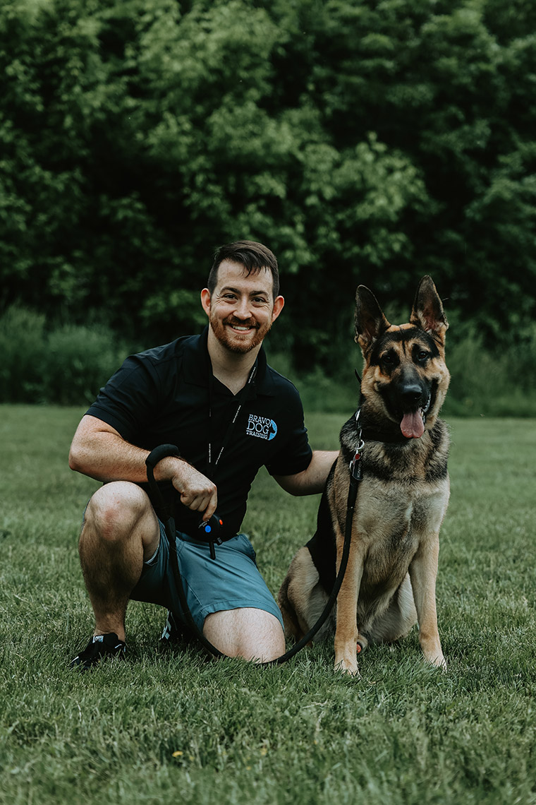 Contact Bravo Dog Training