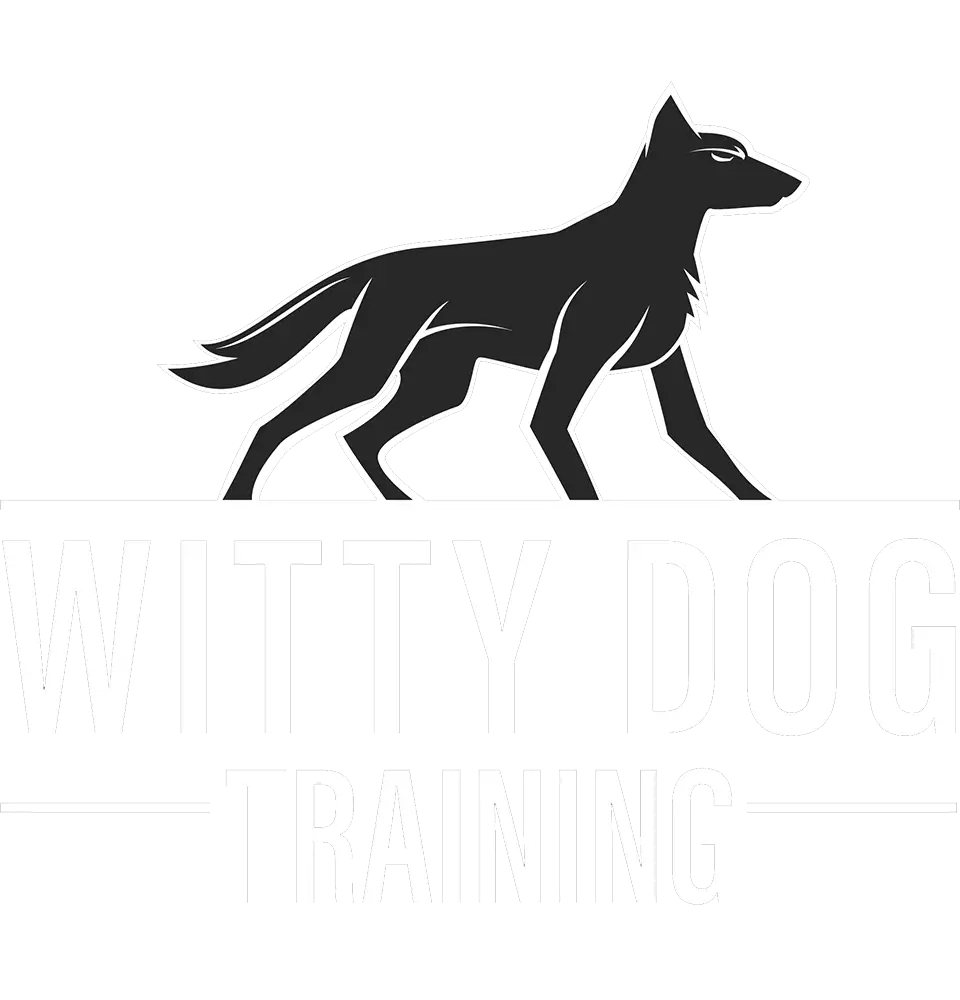 Witty Dog Training